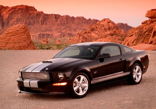 2007 Ford Shelby GT