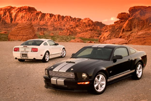 2007 Ford Shelby GT