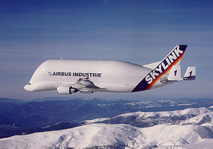 Airbus Beluga Transport Aircraft