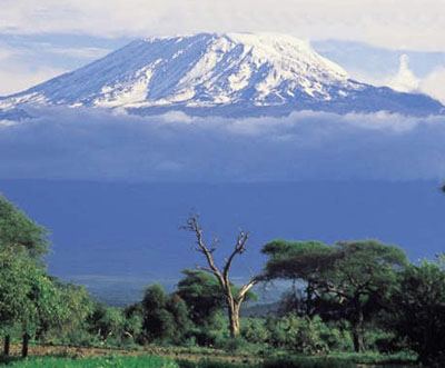 http://www.diseno-art.com/images/kilimanjaro.jpg