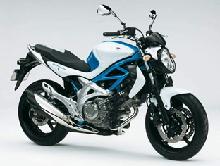 2009 Suzuki Gladius 650