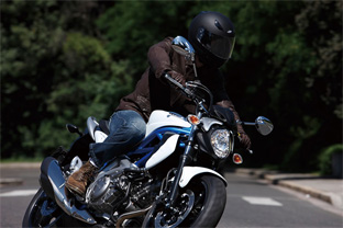 2009 Suzuki Gladius 650