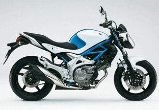 2009 Suzuki Gladius 650