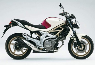 2009 Suzuki Gladius 650