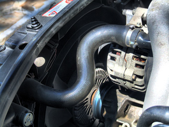 radiator hose